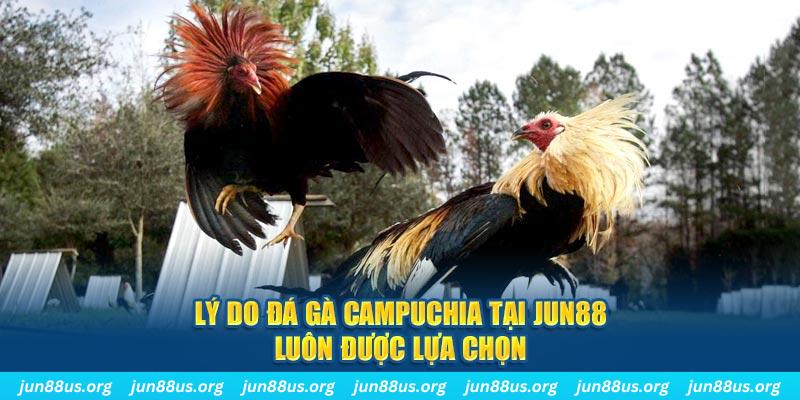 788win tài xỉu nổ hũ là gì