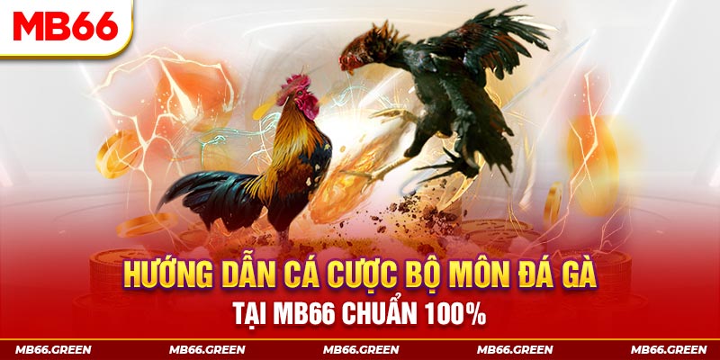 788win xổ số bình định