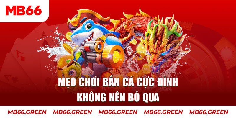 788win casino ở đâu