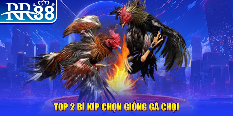 788win đăng nhập roulette dễ thắng
