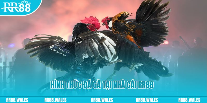 788win xin 1 slot là gì