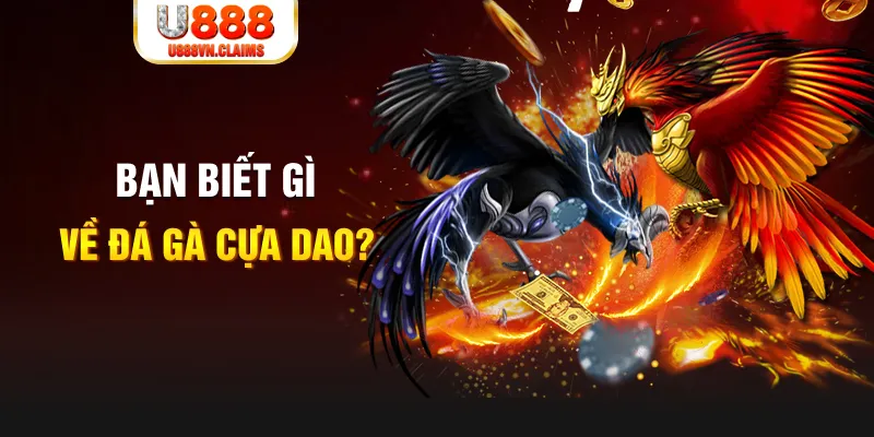 788win xổ số kiến thiết