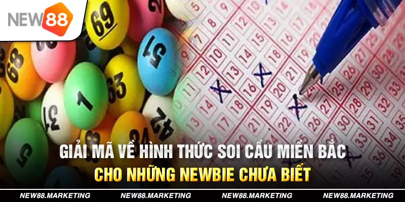 788win đăng nhập mậu binh live
