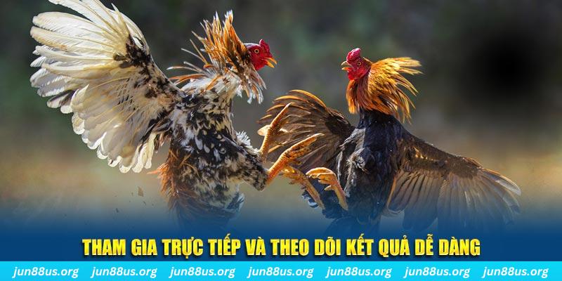 788win đá gà trực tiếp bình luận viên