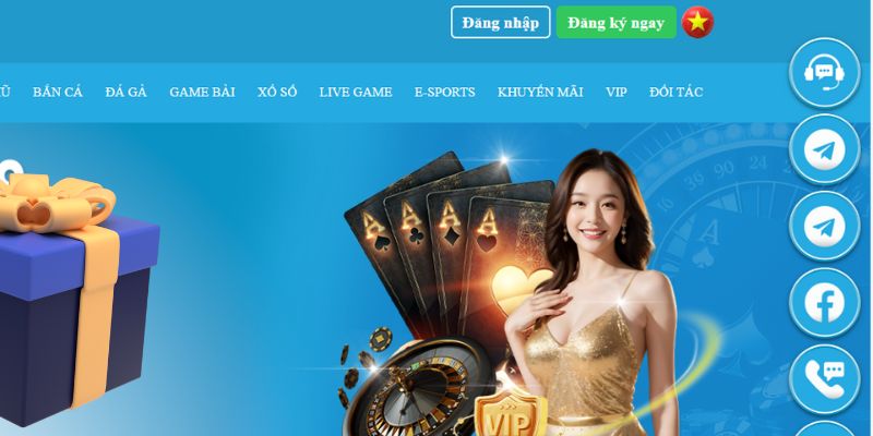 788win slot là gì dịch