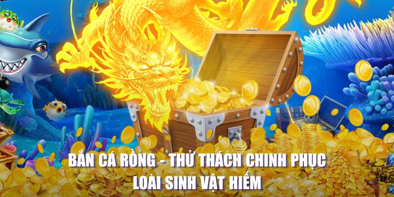 788win MW Điện Tử
