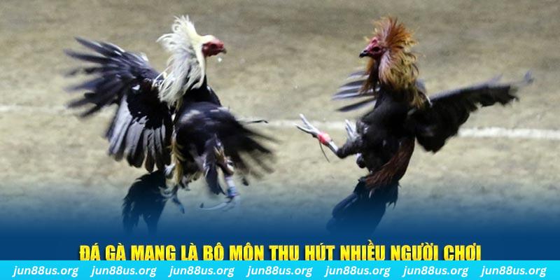 788win xổ số cà mau