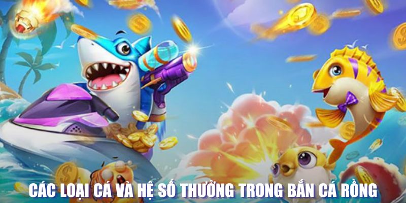 788win loi game dot kich ket noi may chu that bai
