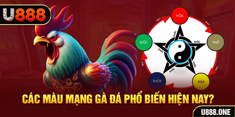 788win đăng nhập mậu binh