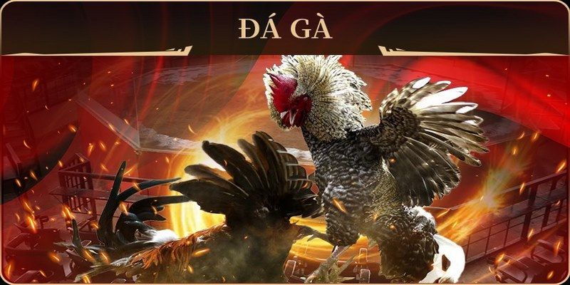 788win no hu doi thuong ai