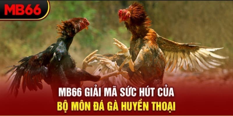 788win Phi Đội Ưu Tú