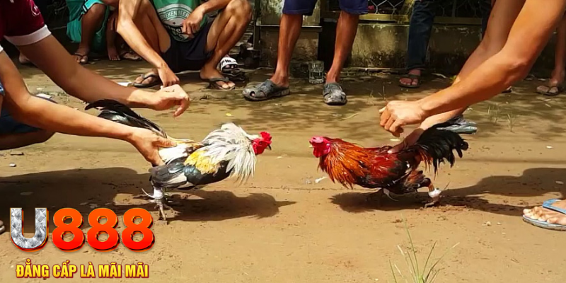 788win đăng nhập mậu binh rút tiền nhanh