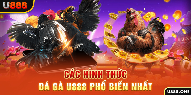 788win DB Trực Tuyến