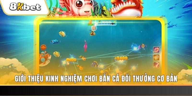 788win xổ số miền bắc thứ năm hàng tuần