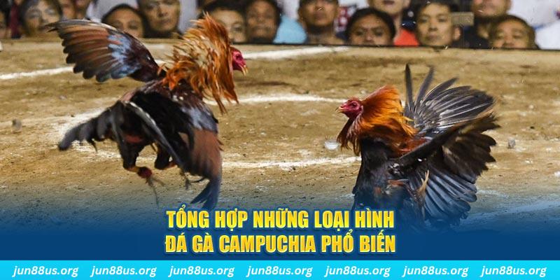 788win ON Trực Tuyến