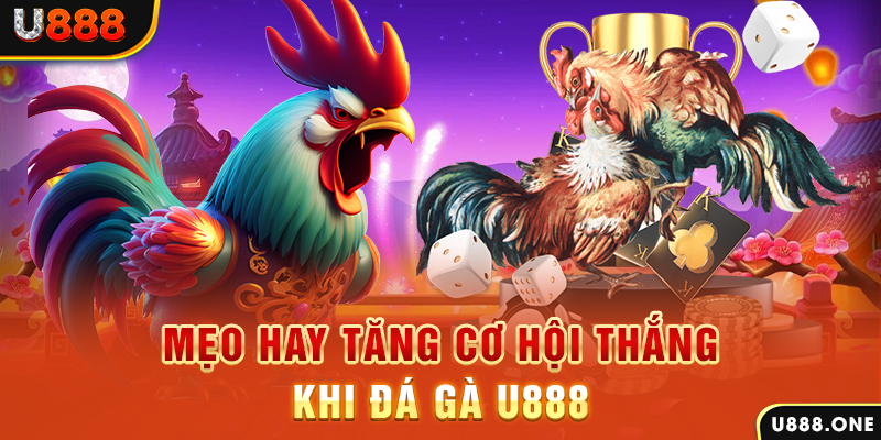788win trực tiếp gà chọi c1
