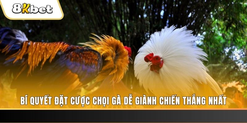 788win Tài Xỉu 2