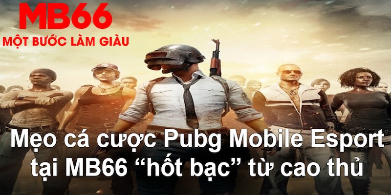 788win gà chọi mộc hóa