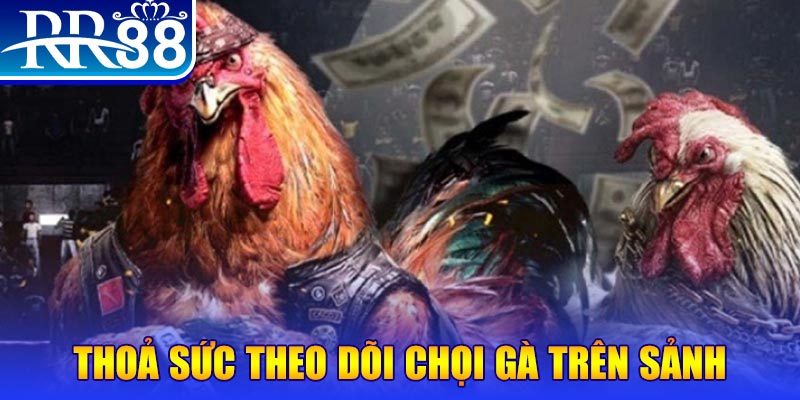 788win đá gà 88.com