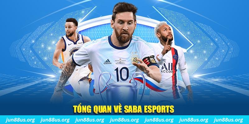788win gà chọi c1 tv trực tiếp hôm nay
